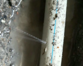 东川卫生间测漏水多少钱